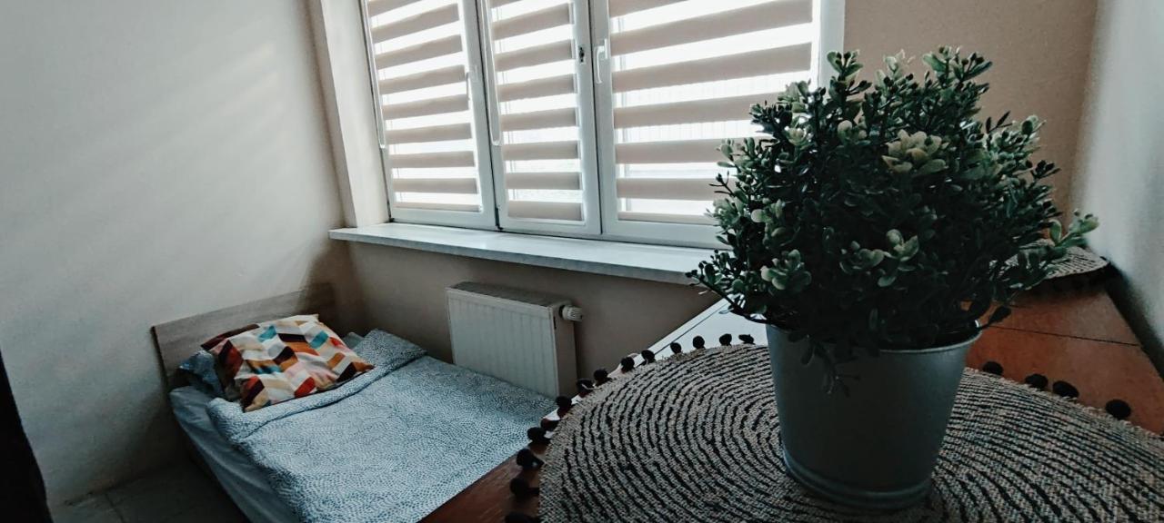 Tanie Spanie Przy Malcie - Zameldowanie Bezobslugowe - Poznań Buitenkant foto